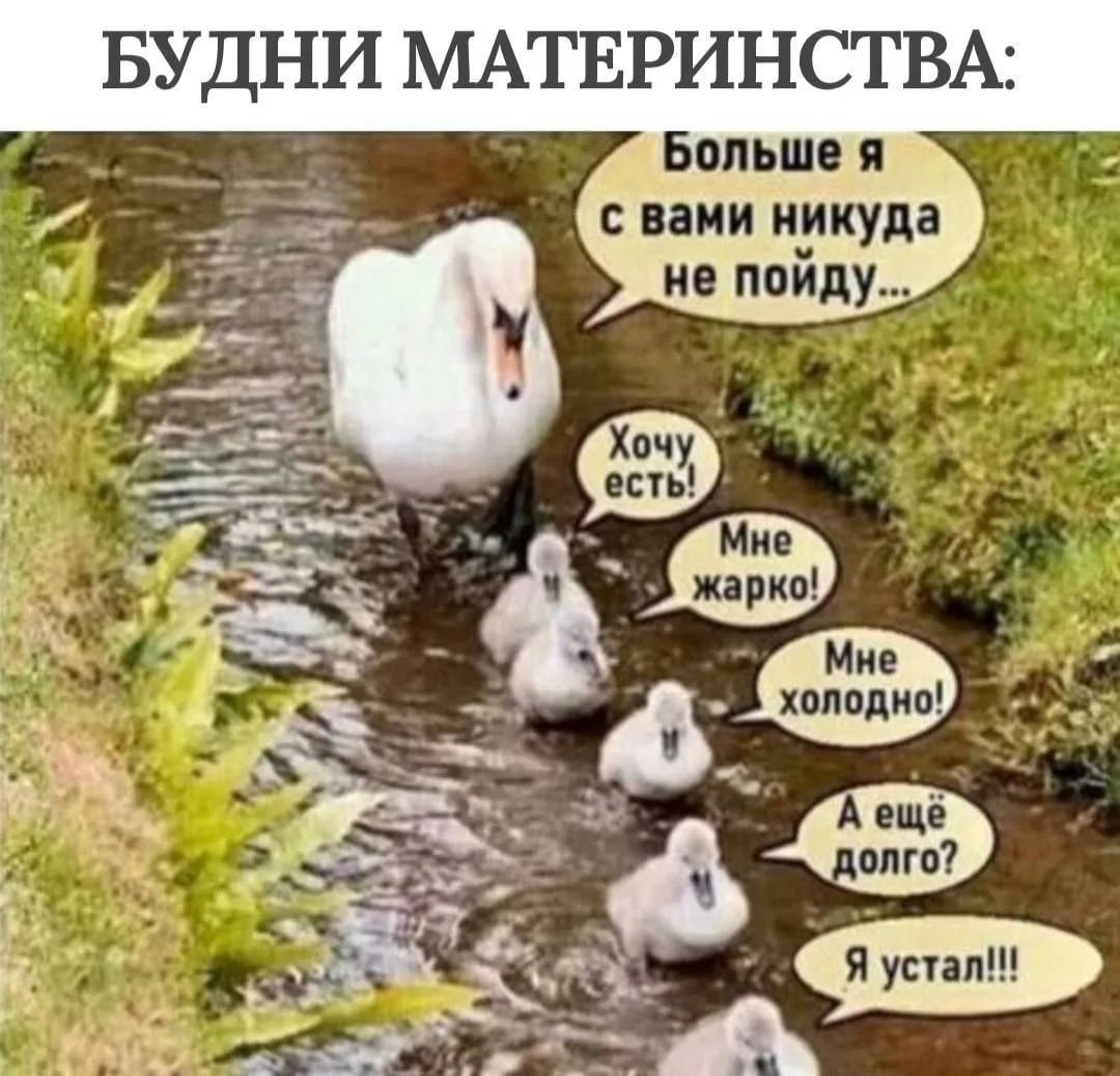 БУДНИ МАТЕРИНСТВА: Больше я с вами никуда не пойду... Хочу есть! Мне жарко! Мне холодно! А ещё долго? Я устал!!!