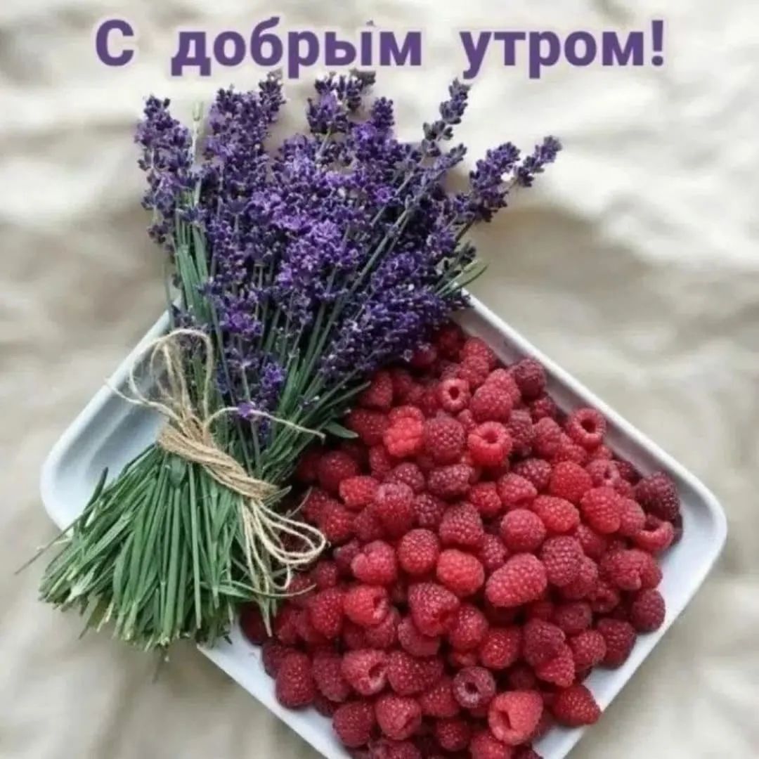 С добрым утром!