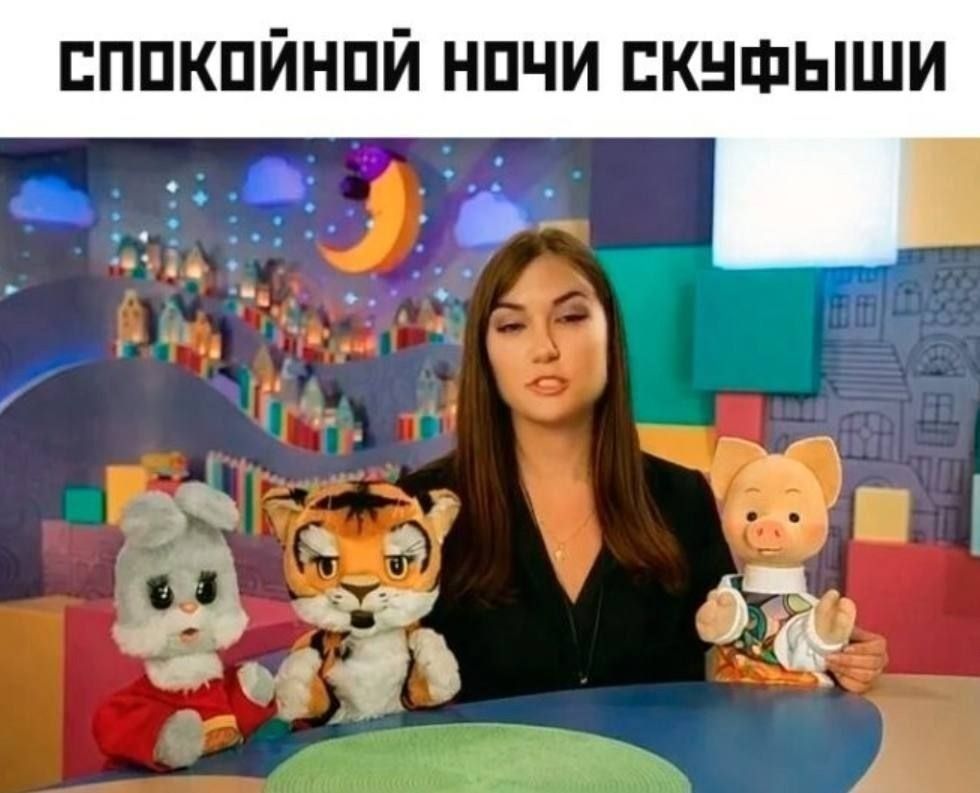 СПОКОЙНОЙ НОЧИ СКУФЫШИ