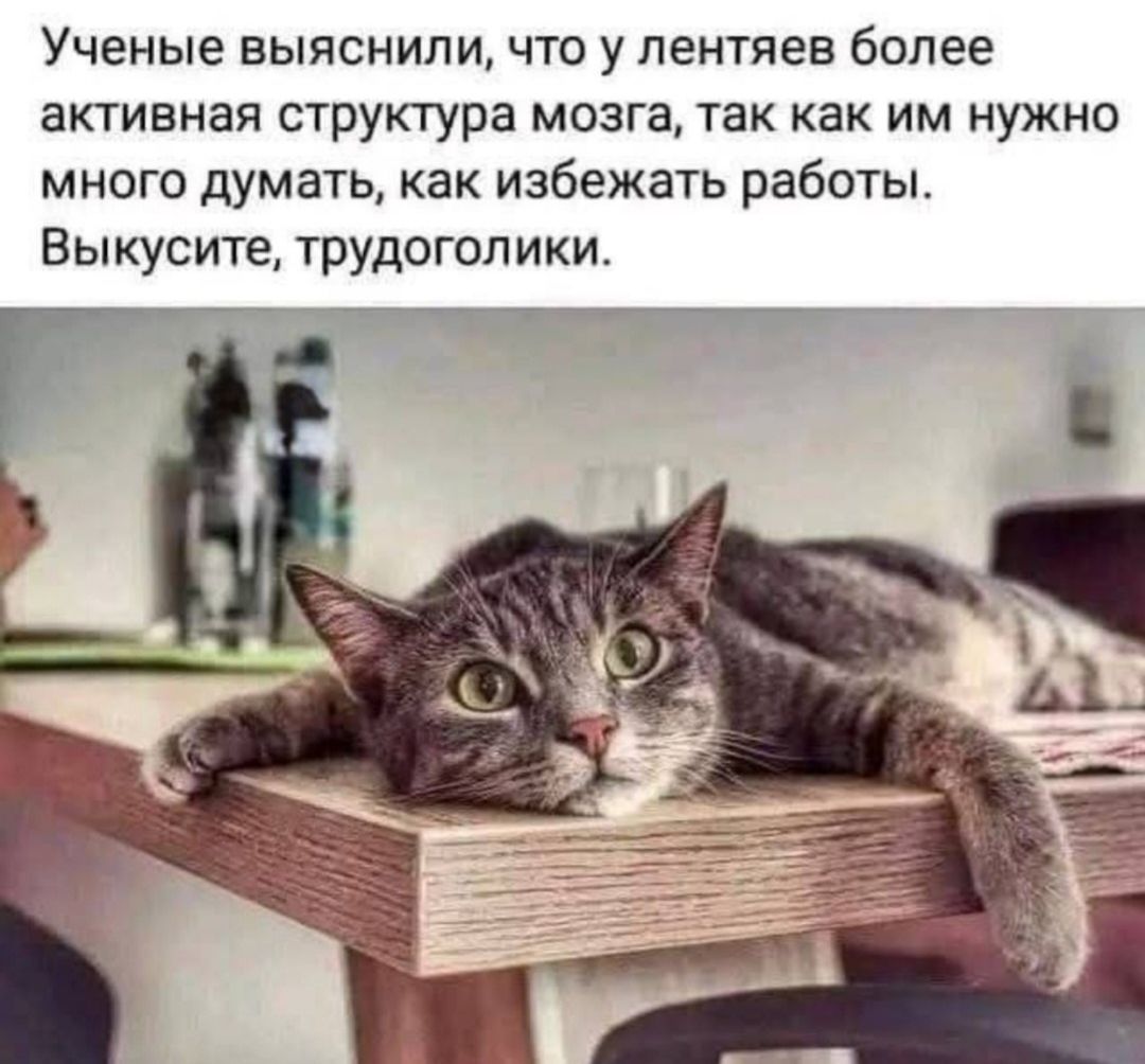 Ученые выяснили, что у лентяев более активная структура мозга, так как им нужно много думать, как избежать работы. Выкусите, трудоголики.