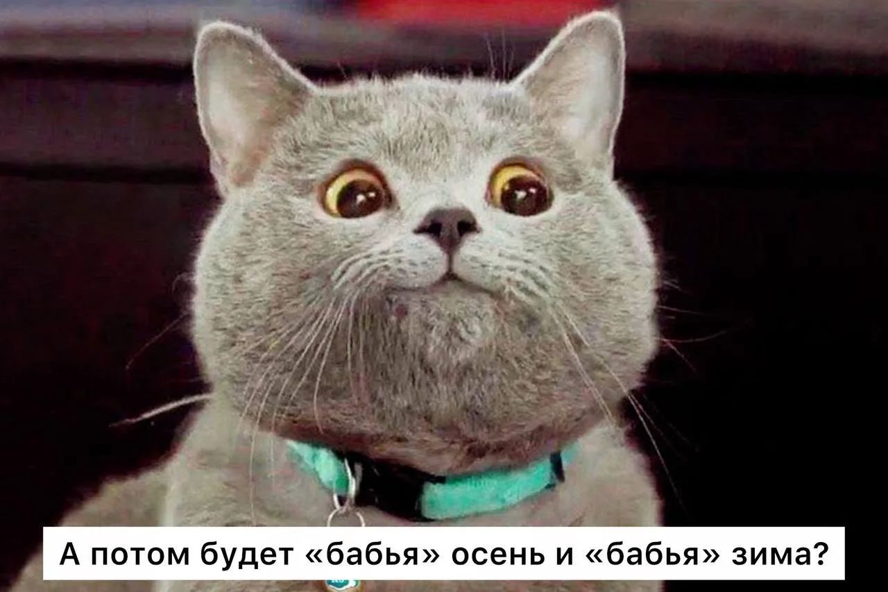 А потом будет «бабья» осень и «бабья» зима?
