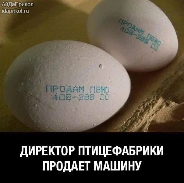 АйдаПрикол idaprikol.ru ПРОДАМ ПЕЖО 408-288 СО ДИРЕКТОР ПТИЦЕФАБРИКИ ПРОДАЕТ МАШИНУ
