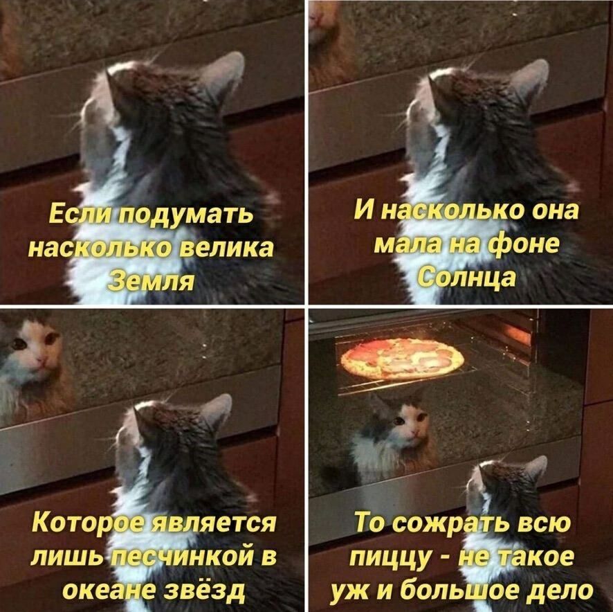 Если подумать насколько велика Земля И насколько она мала на фоне Солнца Которое является лишь песчинкой в океане звёзд То сожрать всю пиццу - не такое уж и большое дело