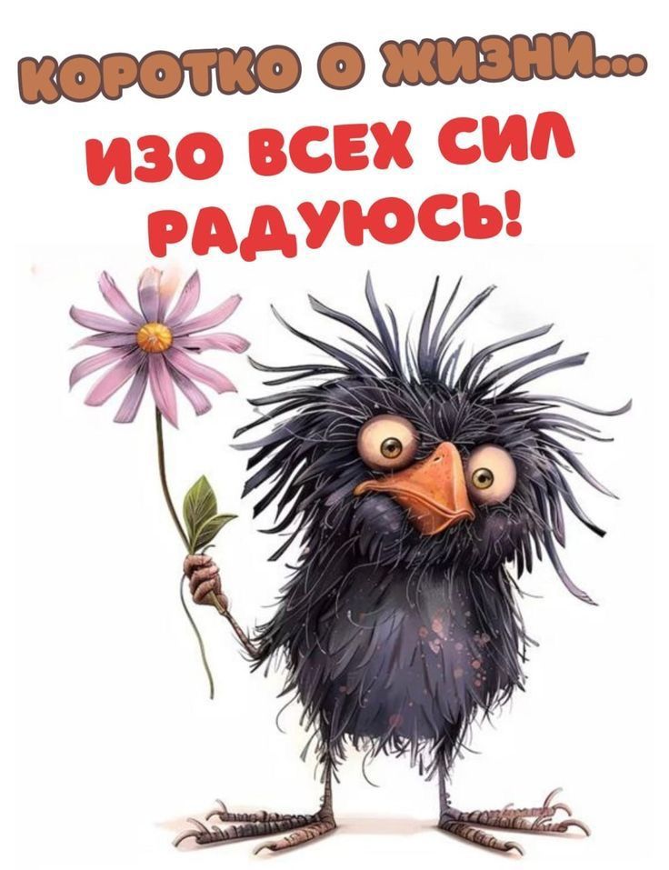 КОРОТКО О ЖИЗНИ... ИЗО ВСЕХ СИЛ РАДУЮСЬ!
