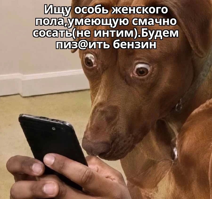 Ищу особь женского пола, умеющую смачно сосать (не интим). Будем пиз@ить бензин