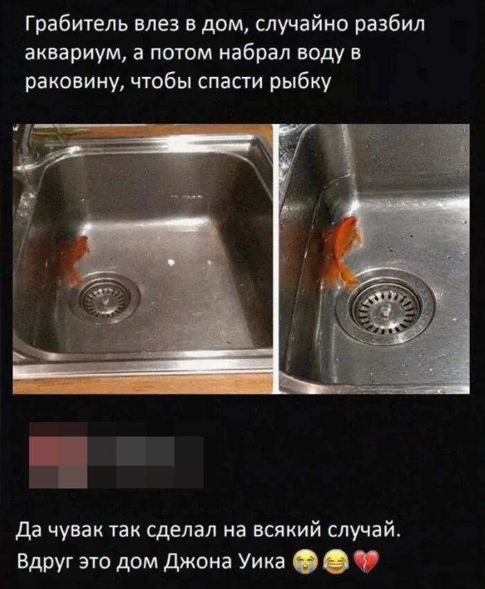 Грабитель влез в дом, случайно разбил аквариум, а потом набрал воду в раковину, чтобы спасти рыбку. Да чувак так сделал на всякий случай. Вдруг это дом Джона Уика