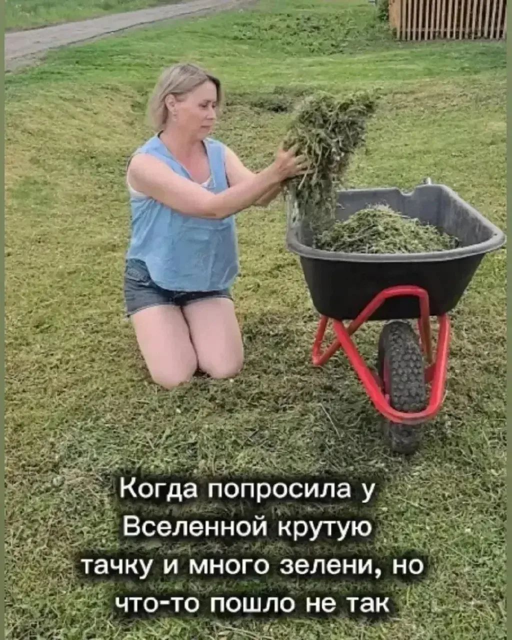 Когда попросила у Вселенной крутую тачку и много зелени, но что-то пошло не так