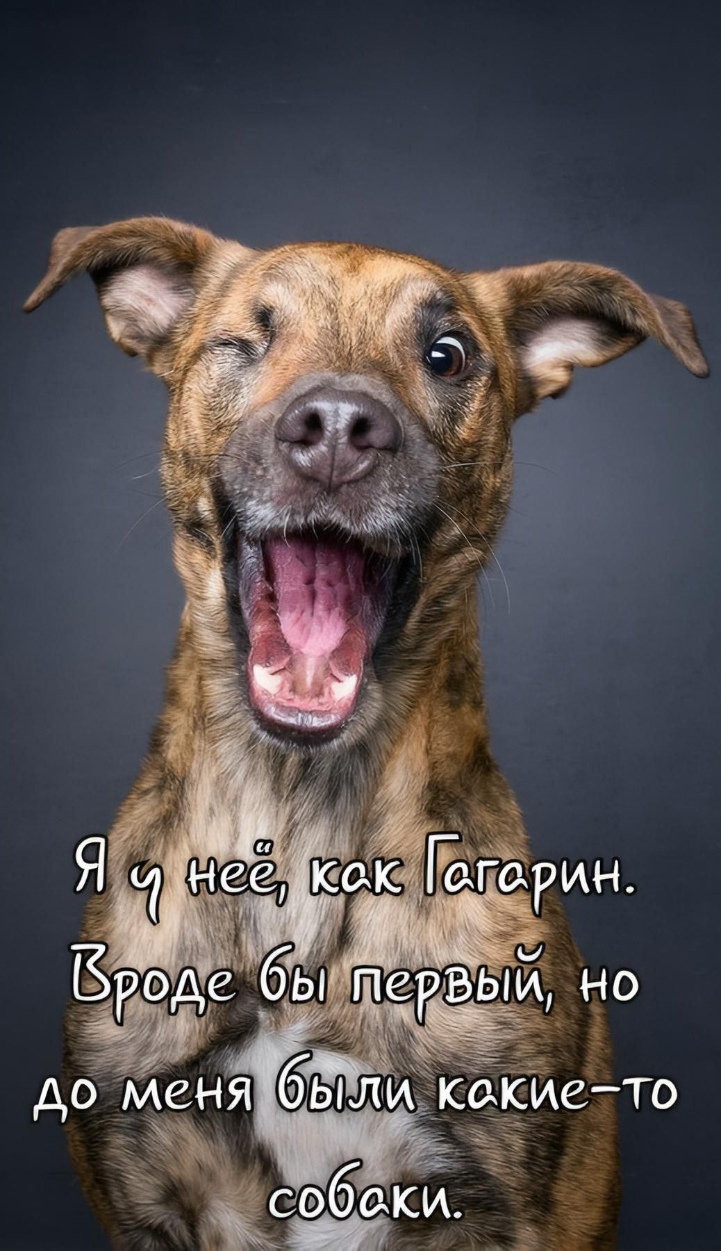 Я у нее, как Гагарин. Вроде бы первый, но до меня были какие-то собаки.