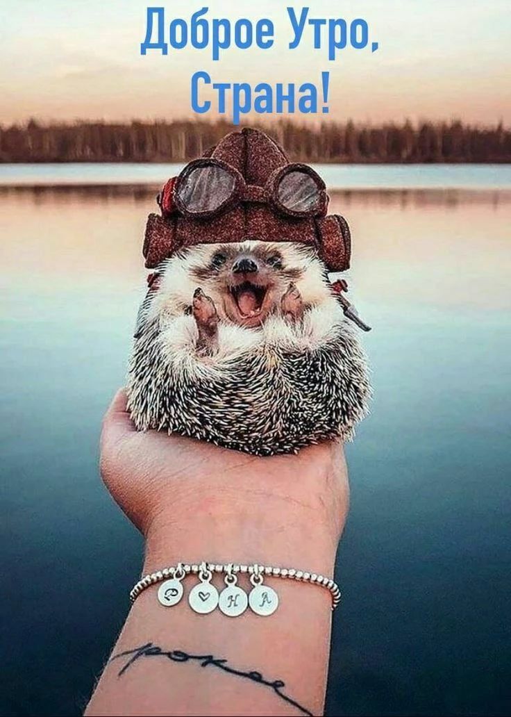 Доброе Утро, Страна!