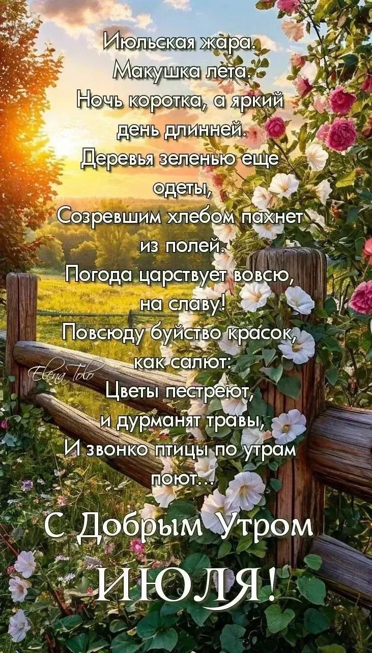 Июльская жара. Макушка лета. Ночь коротка, а яркий день длинней. Деревья зеленью еще одеты, Созревшим хлебом пахнет из полей. Погода царствует вовсю, на славу! Повсюду буйство красок, как салют: Цветы пестреют, и дурманят травы, И звонко птицы по утрам поют... С Добрым Утром ИЮЛЯ!