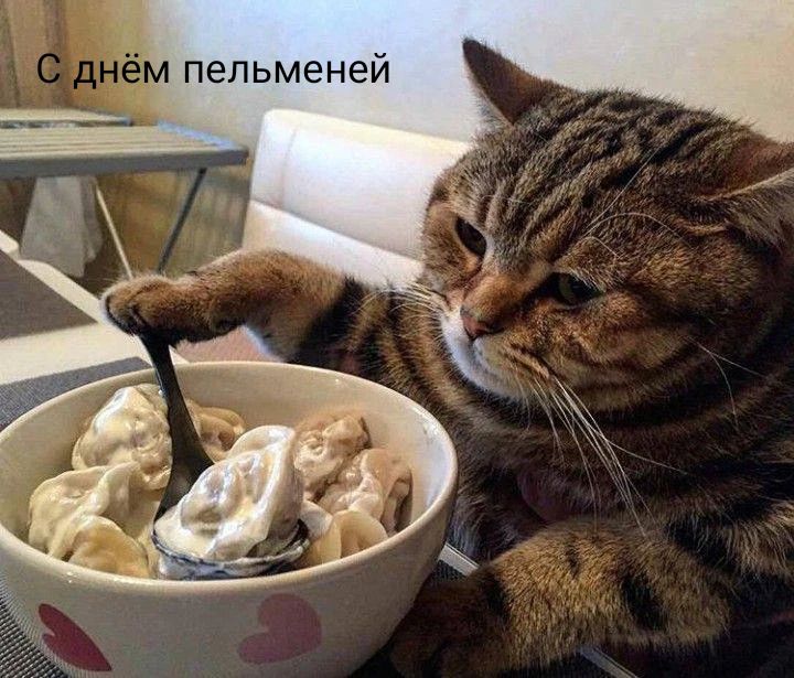 С днём пельменей
