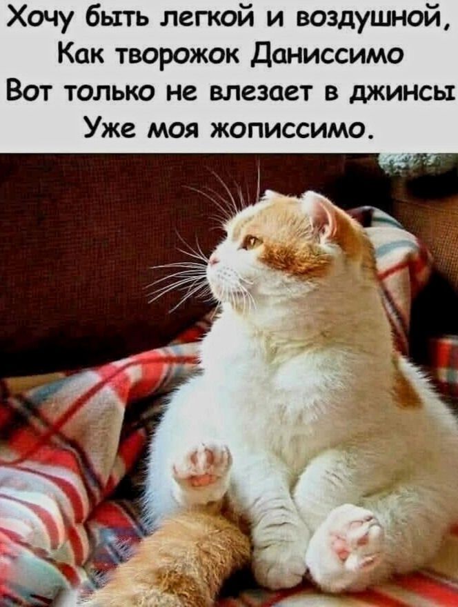 Хочу быть легкой и воздушной, Как творожок Даниссимо Вот только не влезает в джинсы Уже моя жописсимо.