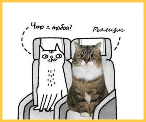 Что с тобой? Рекализм