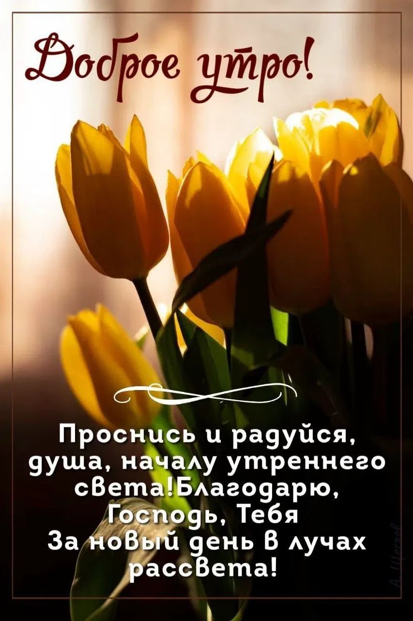 Доброе утро! Проснись и радуйся, душа, началу утреннего света! Благодарю, Господь, Тебя За новый день в лучах рассвета!