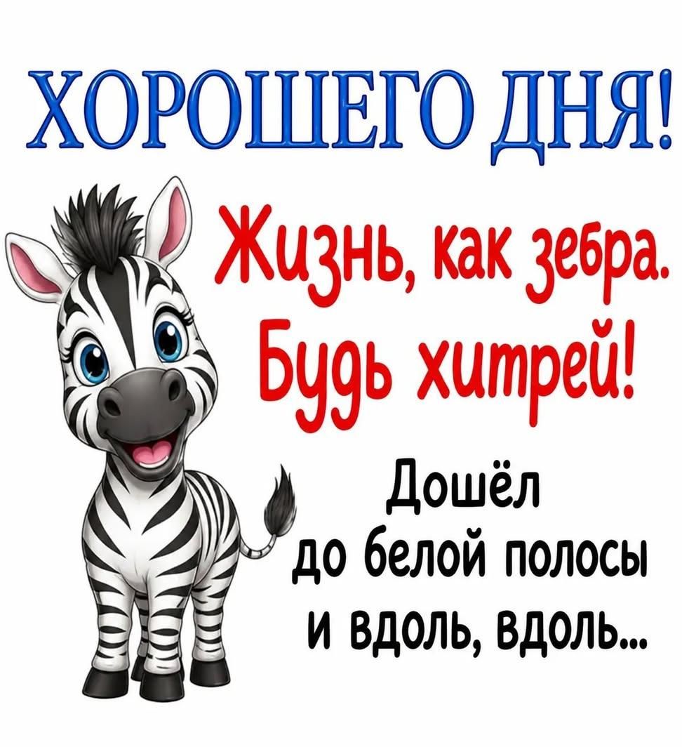 ХОРОШЕГО ДНЯ! Жизнь, как зебра. Будь хитрей! Дошёл до белой полосы и вдоль, вдоль...