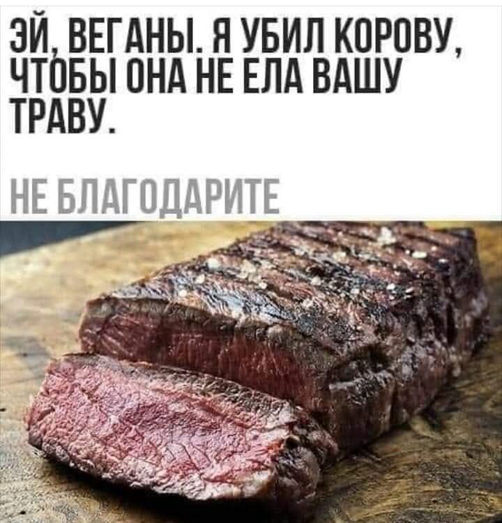 ЭЙ, ВЕГАНЫ. Я УБИЛ КОРОВУ, ЧТОБЫ ОНА НЕ ЕЛА ВАШУ ТРАВУ. НЕ БЛАГОДАРИТЕ