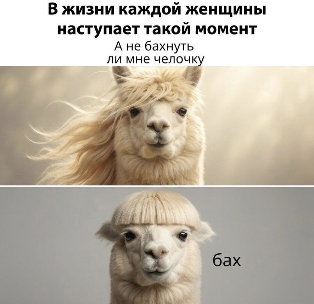 В жизни каждой женщины наступает такой момент А не бахнуть ли мне челочку бах