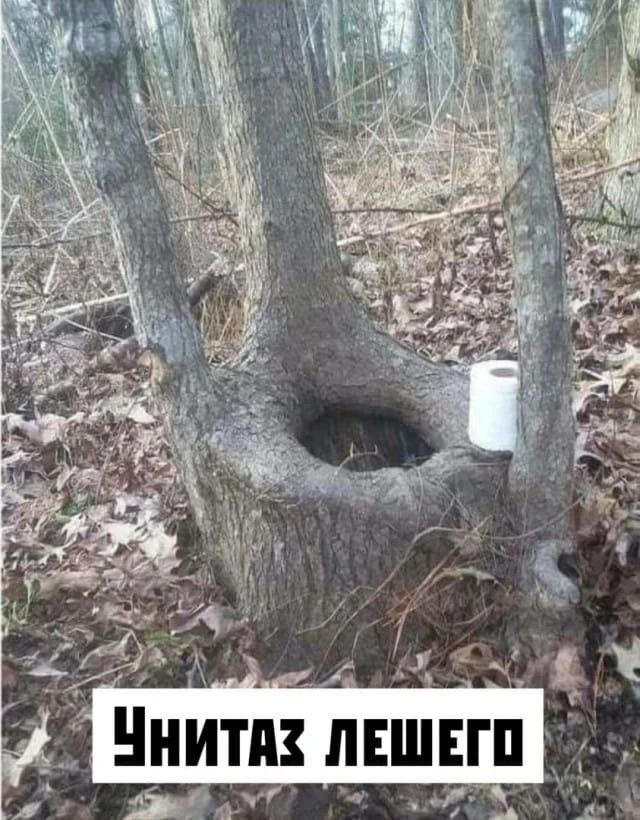 УНИТАЗ ЛЕШЕГО
