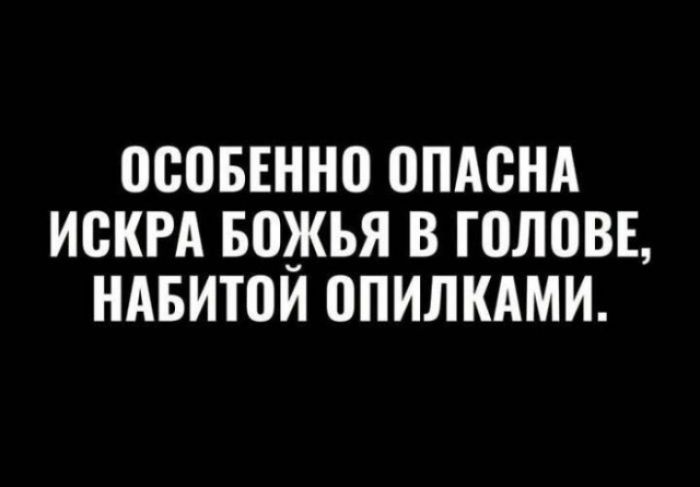 ОСОБЕННО ОПАСНА ИСКРА БОЖЬЯ В ГОЛОВЕ, НАБИТОЙ ОПИЛКАМИ.