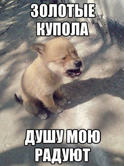 Золотые купола душу мою радуют