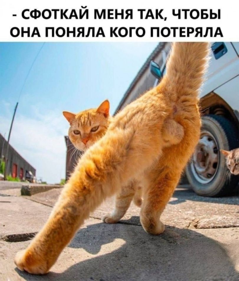 - СФОТКАЙ МЕНЯ ТАК, ЧТОБЫ ОНА ПОНЯЛА КОГО ПОТЕРЯЛА