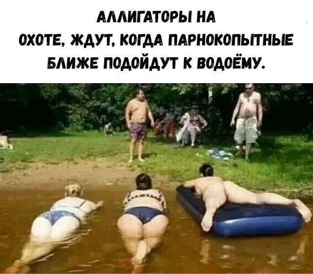 АЛЛИГАТОРЫ НА ОХОТЕ, ЖДУТ, КОГДА ПАРНОКОПЫТНЫЕ БЛИЖЕ ПОДОЙДУТ К ВОДОЁМУ.