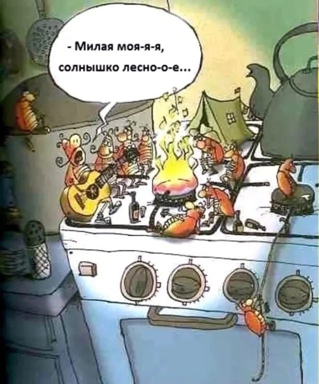 - Милая моя-я-я, солнышко лесно-о-е...