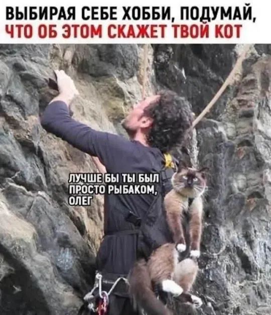 ВЫБИРАЯ СЕБЕ ХОББИ, ПОДУМАЙ, ЧТО ОБ ЭТОМ СКАЖЕТ ТВОЙ КОТ. ЛУЧШЕ БЫ ТЫ БЫЛ ПРОСТО РЫБАКОМ, ОЛЕГ