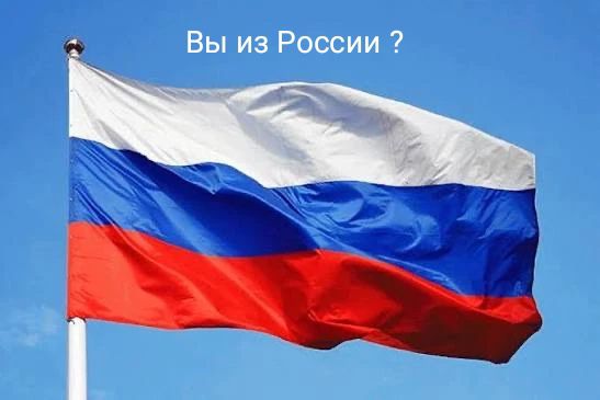 Вы из России ?