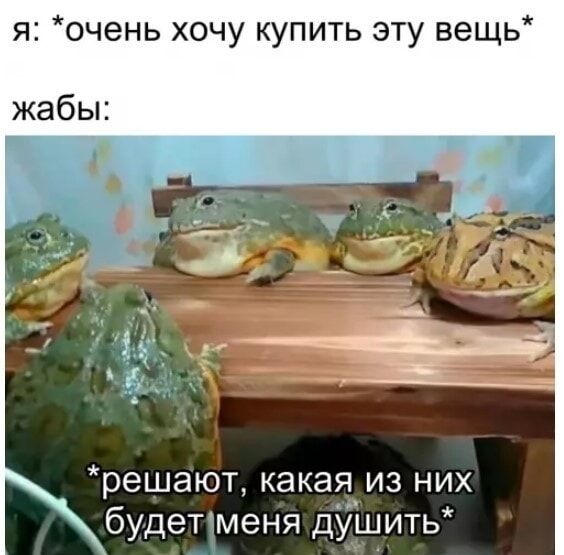 Я: *очень хочу купить эту вещь*
жабы:
*решают, какая из них будет меня душить*