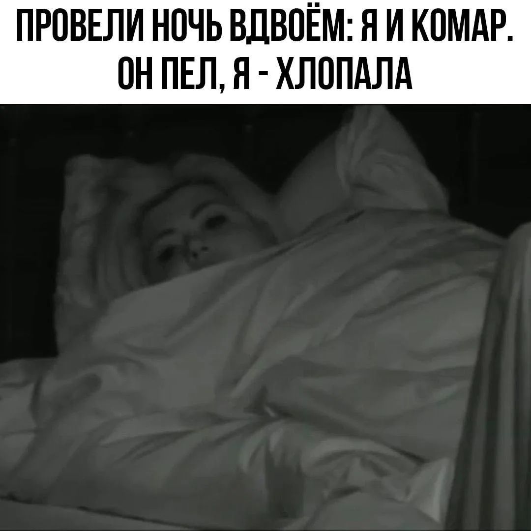 ПРОВЕЛИ НОЧЬ ВДВОЁМ: Я И КОМАР. ОН ПЕЛ, Я - ХЛОПАЛА