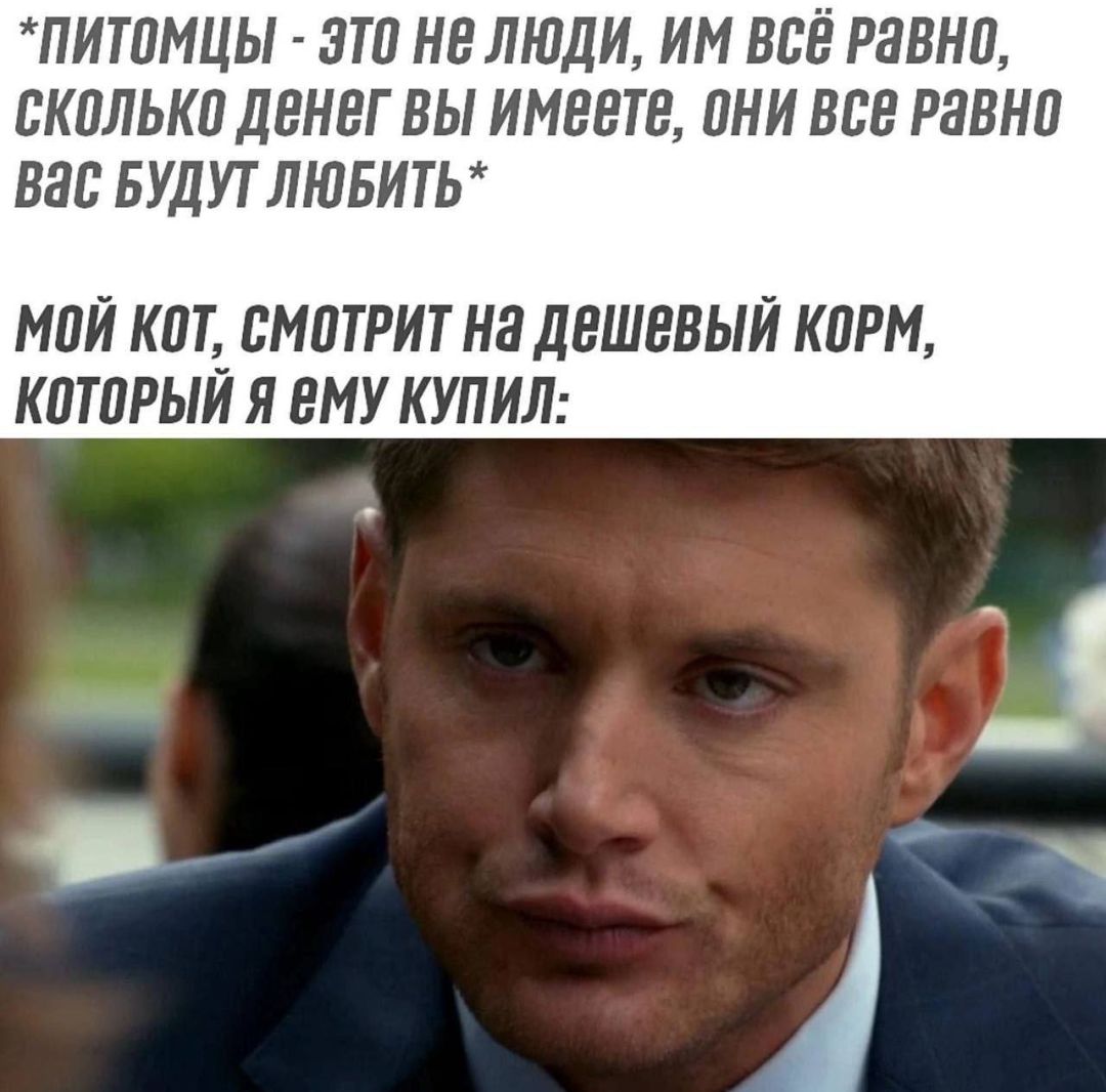 *питомцы - это не люди, им всё равно, сколько денег вы имеете, они все равно вас будут любить* МОЙ КОТ, СМОТРИТ НА ДЕШЕВЫЙ КОРМ, КОТОРЫЙ Я ЕМУ КУПИЛ: