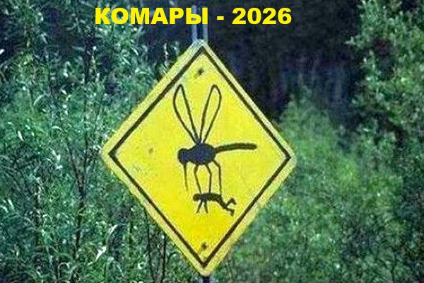 КОМАРЫ - 2026