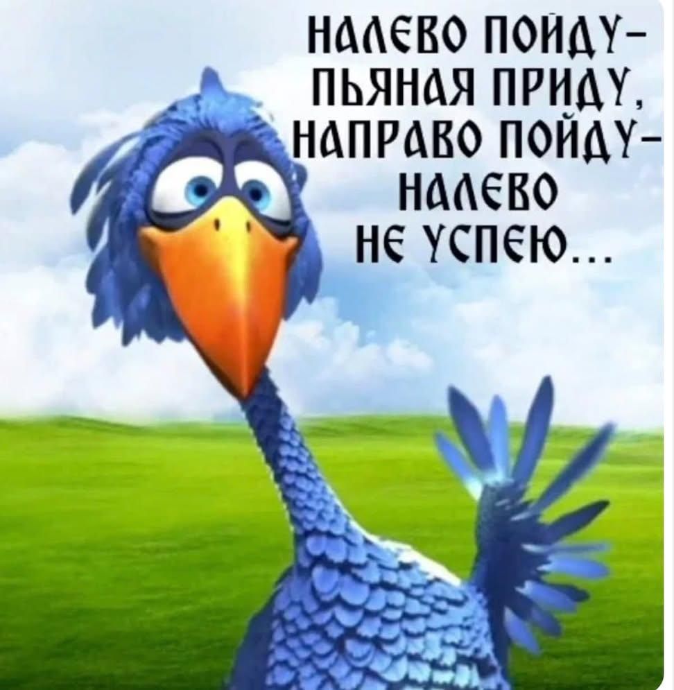 НАЛЕВО ПОЙДУ – ПЬЯНАЯ ПРИДУ, НАПРАВО ПОЙДУ – НАЛЕВО НЕ УСПЕЮ...