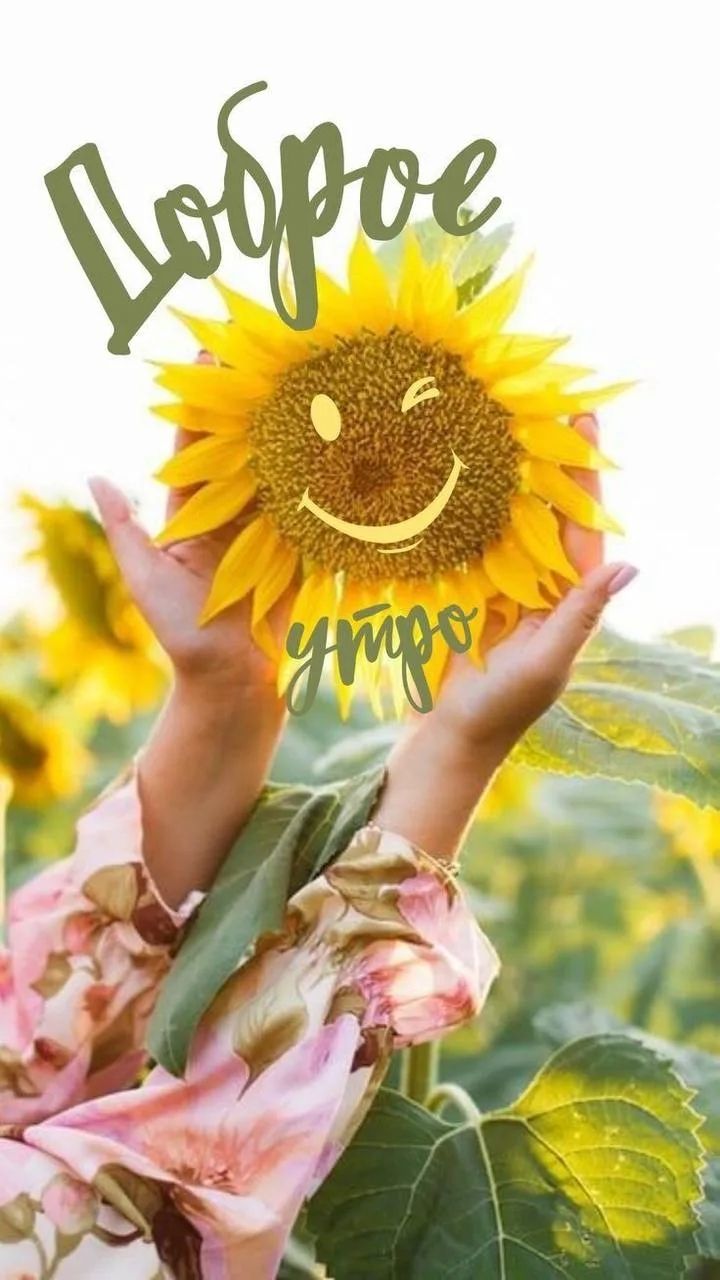 Доброе утро