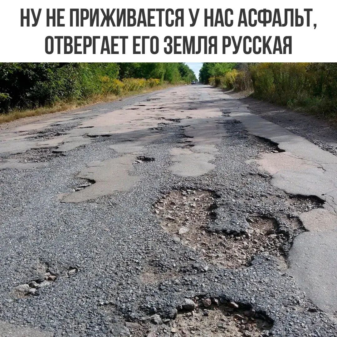 НУ НЕ ПРИЖИВАЕТСЯ У НАС АСФАЛЬТ, ОТВЕРГАЕТ ЕГО ЗЕМЛЯ РУССКАЯ