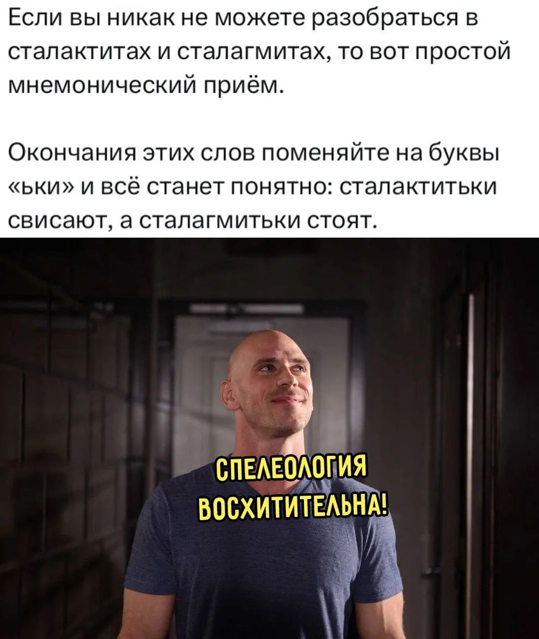 Если вы никак не можете разобраться в сталактитах и сталагмитах, то вот простой мнемонический приём. Окончания этих слов поменяйте на буквы «ьки» и всё станет понятно: сталактитьки свисают, а сталагмитьки стоят. СПЕЛЕОЛОГИЯ ВОСХИТИТЕЛЬНАЯ!
