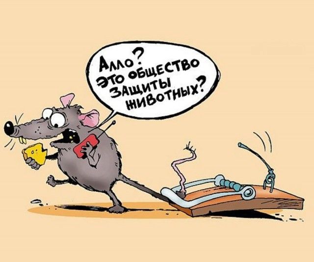 Алло? Это общество защиты животных?