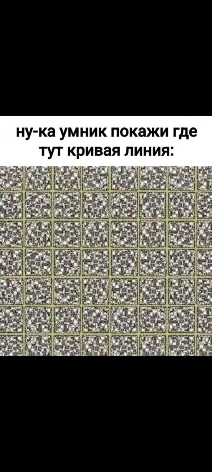 ну-ка умник покажи где тут кривая линия: