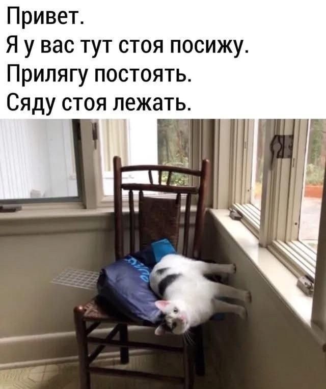 Привет. Я у вас тут стоя посижу. Прилягу постоять. Сяду стоя лежать.