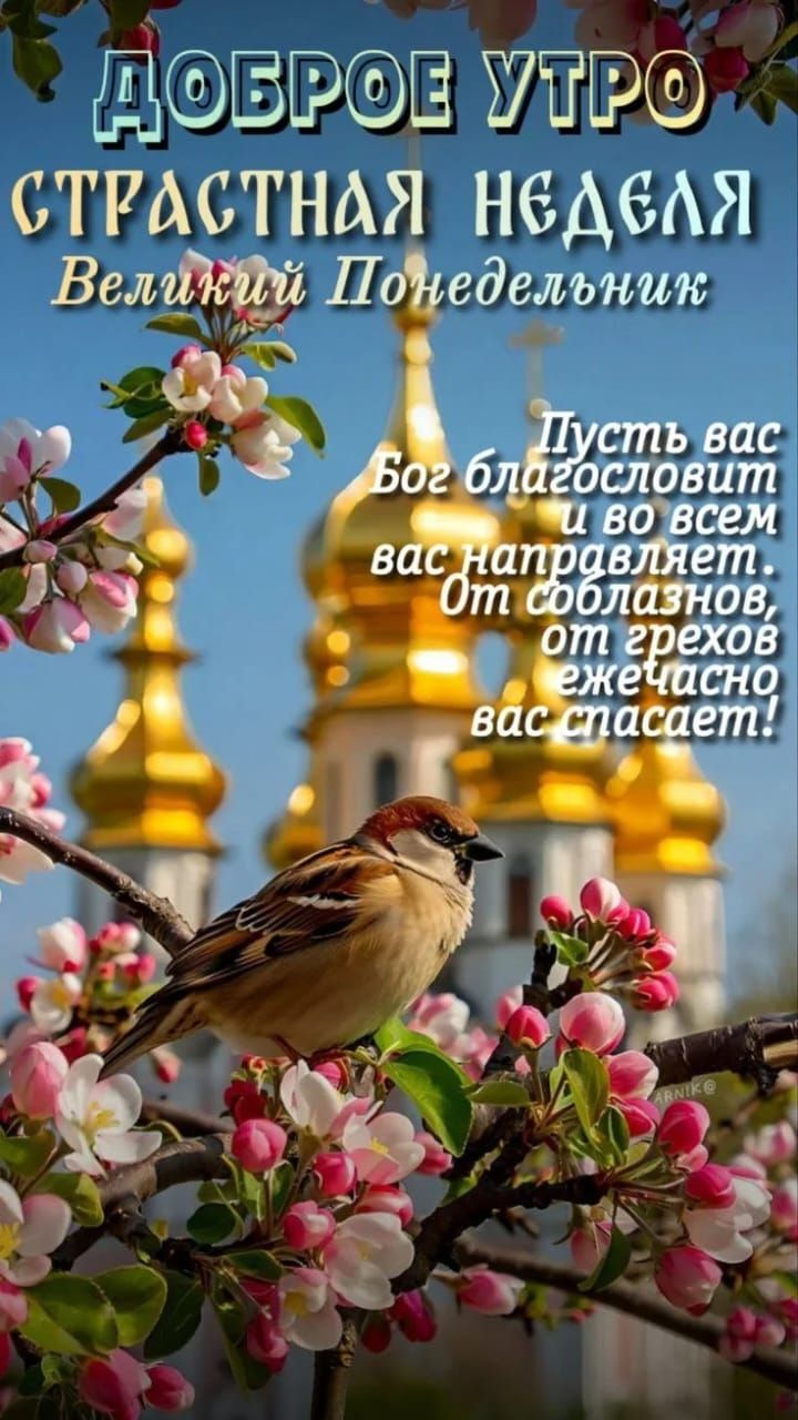 ДОБРОЕ УТРО СТРАСТНАЯ НЕДЕЛЯ Великий Понедельник Пусть вас Бог благословит и во всем вас направляет. От соблазнов, от грехов ежечасно вас спасает!