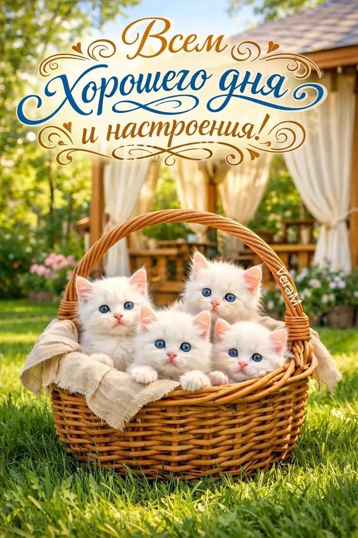 Всем Хорошего дня и настроения! VeraM.