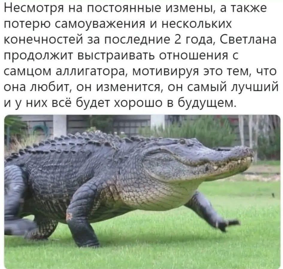 Несмотря на постоянные измены, а также потерю самоуважения и нескольких конечностей за последние 2 года, Светлана продолжит выстраивать отношения с самцом аллигатора, мотивируя это тем, что она любит, он изменится, он самый лучший и у них всё будет хорошо в будущем.