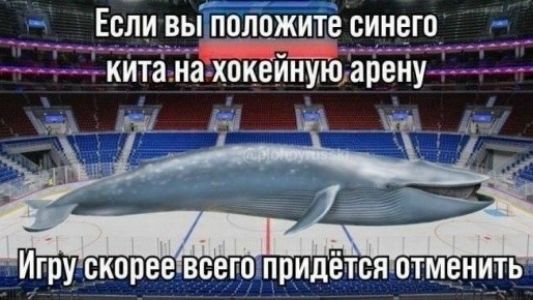 Если вы положите синего кита на хоккейную арену Игру скорее всего придется отменить