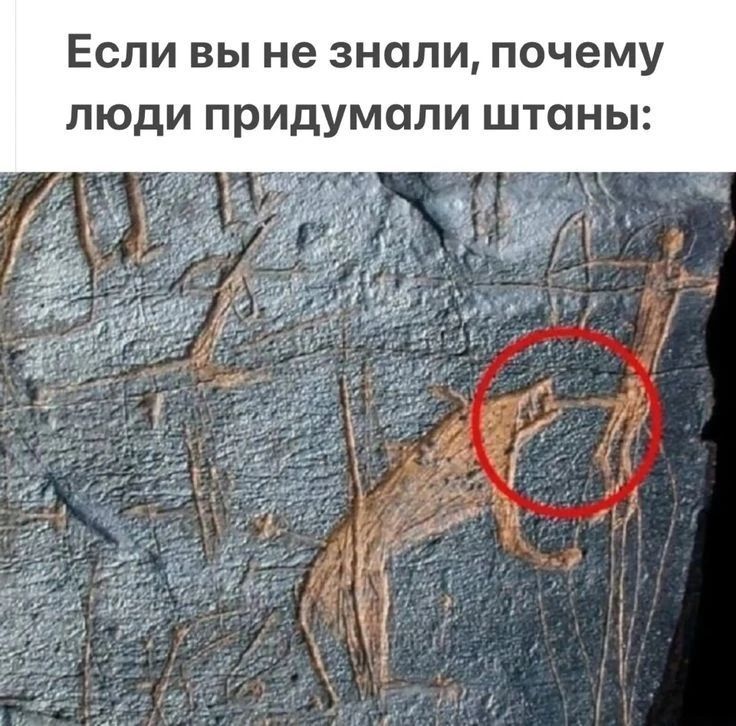 Если вы не знали, почему люди придумали штаны: