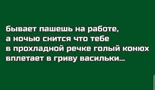 Бывает пашешь на работе, а ночью снится что тебе в прохладной речке голый конюх вплетает в гриву васильки...