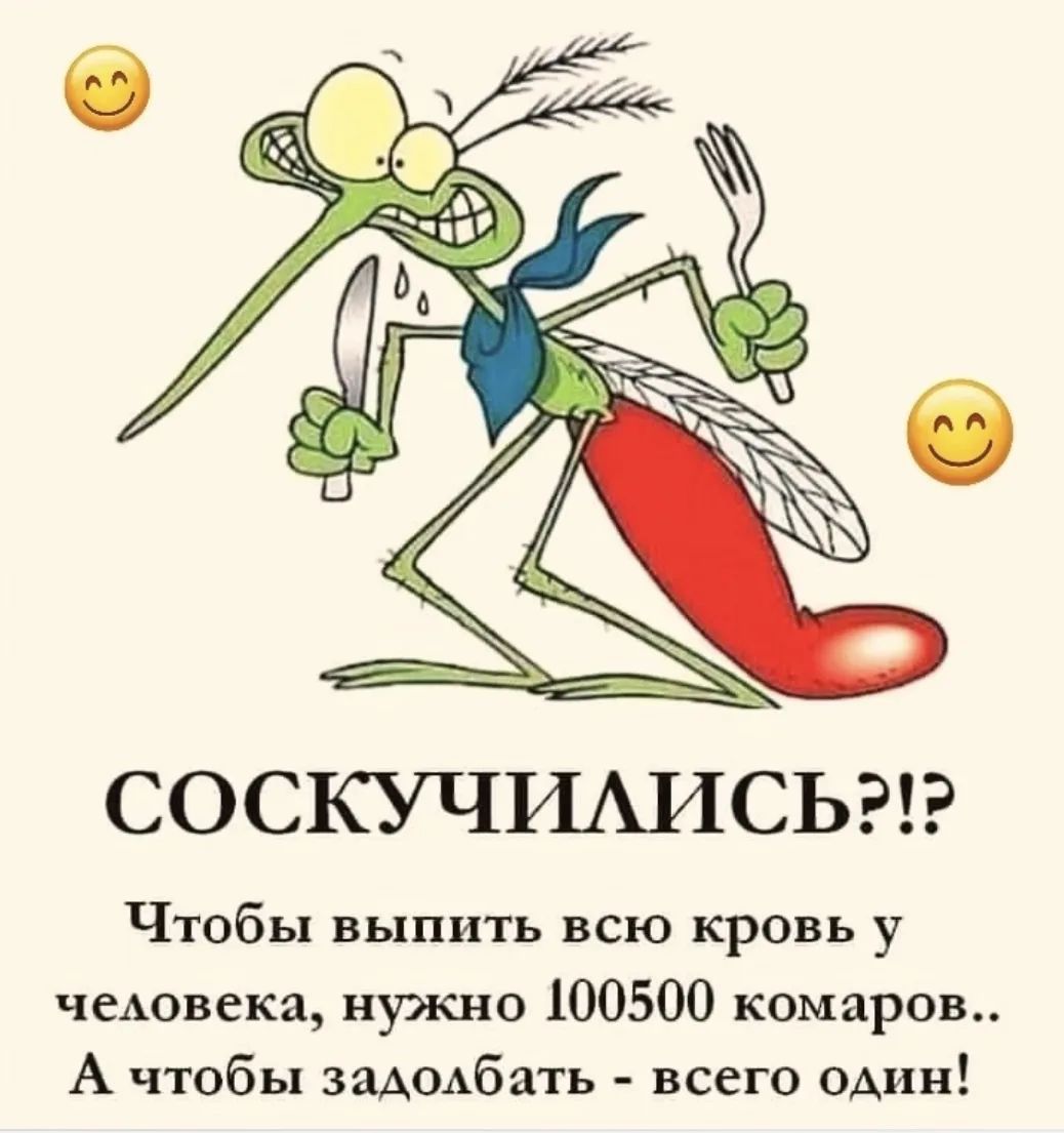 СОСКУЧИЛИСЬ?!? Чтобы выпить всю кровь у человека, нужно 100500 комаров.. А чтобы задолбать - всего один!