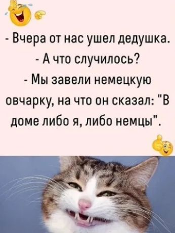 - Вчера от нас ушел дедушка.
- А что случилось?
- Мы завели немецкую овчарку, на что он сказал: 