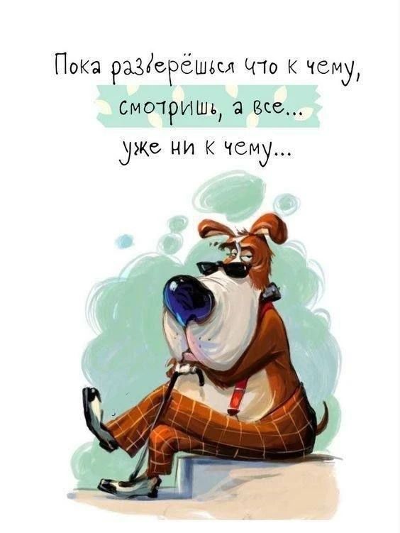 Пока разберёшься что к чему, смотришь, а все... уже ни к чему...