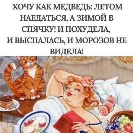 ХОЧУ КАК МЕДВЕДЬ: ЛЕТОМ НАЕДАТЬСЯ, А ЗИМОЙ В СПЯЧКУ! И ПОХУДЕЛА, И ВЫСПАЛАСЬ, И МОРОЗОВ НЕ ВИДЕЛА!